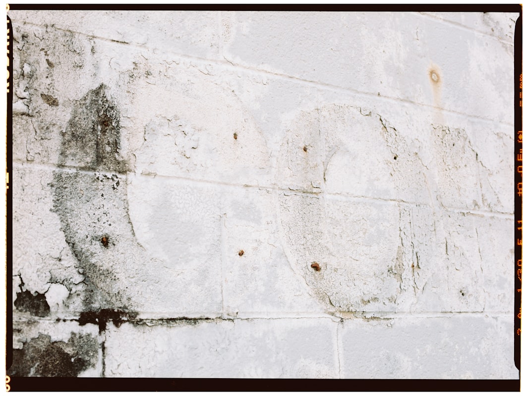 Basement Water Removal service in Daytona Beach, FL