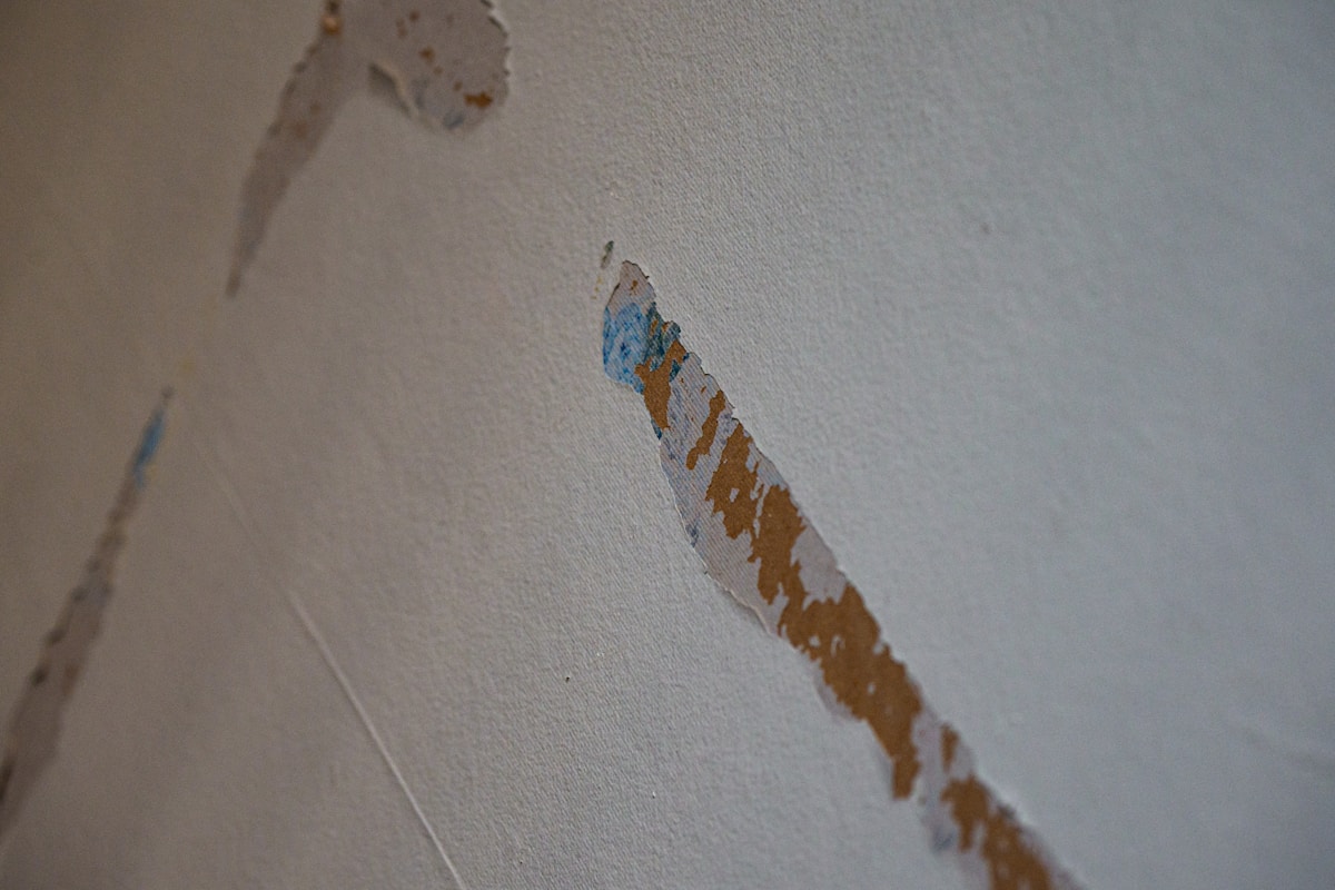 Commercial Water Damage service in Daytona Beach, FL